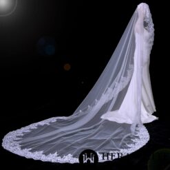 Long Voile de Mariée Dentellé | Soirée blanche