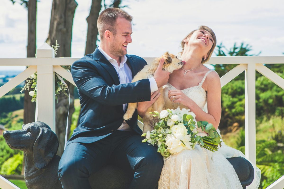 Comment gérer le mariage avec votre animal de compagnie et éviter les catastrophes ? Comment gérer le mariage avec votre animal de compagnie et éviter les catastrophes ?