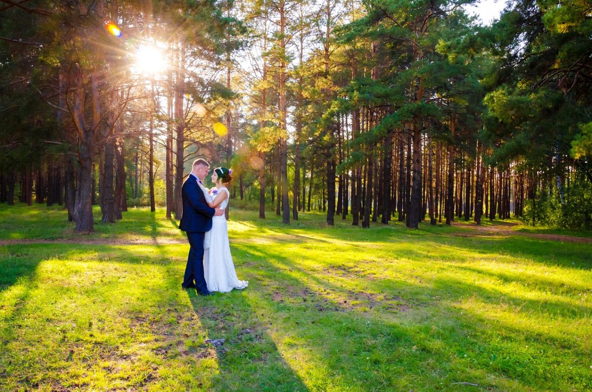 Quel arbre offrir pour un mariage Quel arbre offrir pour un mariage