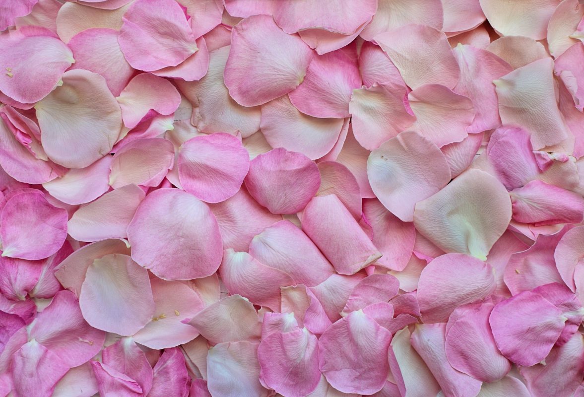 Combien de pétales de rose pour mariage ? Combien de pétales de rose pour mariage ?