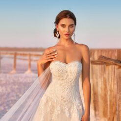 Robe De Mariée Longue Traîne | Soirée Blanche