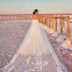 Robe De Mariée Longue Traîne | Soirée Blanche