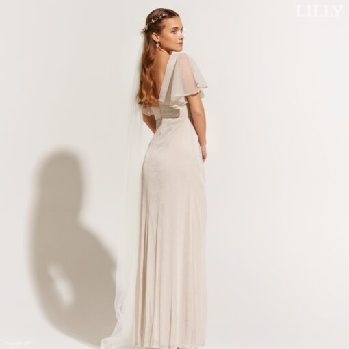 Robe De Mariée Champagne A Paillettes