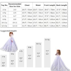 Robe De Mariée Fluide Haut Illusion à Dentelle Florale et Perlé image 21 | Soirée Blanche