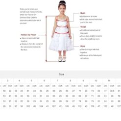 Robe De Mariée Princesse Bustier Illusion image 18 | Soirée Blanche