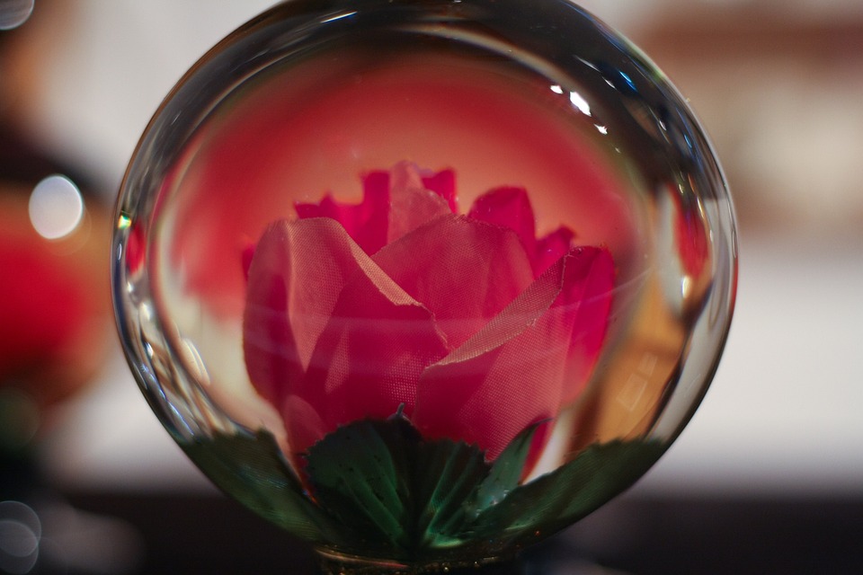 Soirée Blanche : Là où les belles personnes viennent jouer