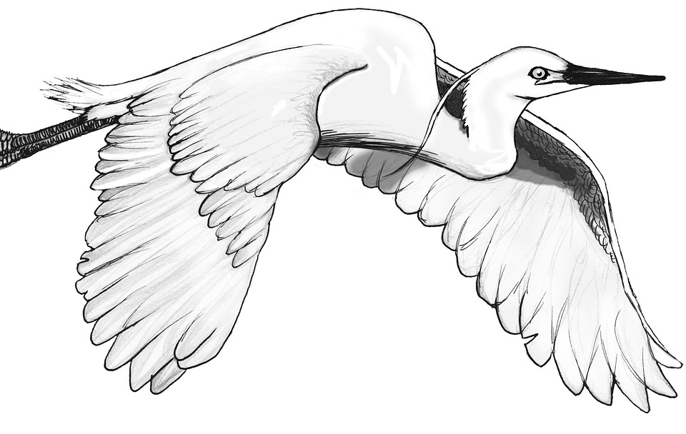 5 Astuces pour Éviter le Stress Le Jour de Tes Noces