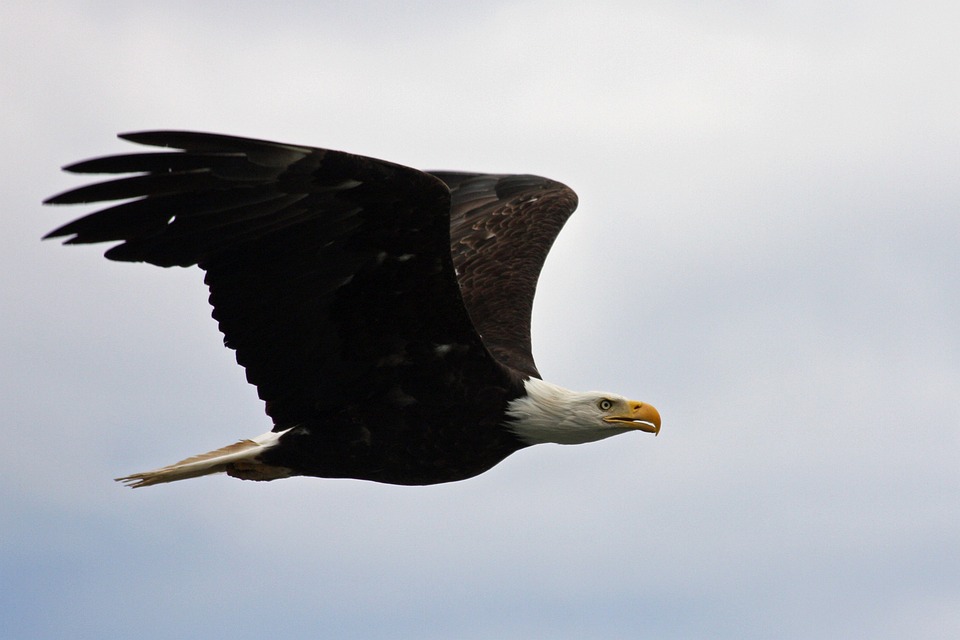 À la Haute Époque avec un Coup de Foudre Contemporain au Montecito Country Club