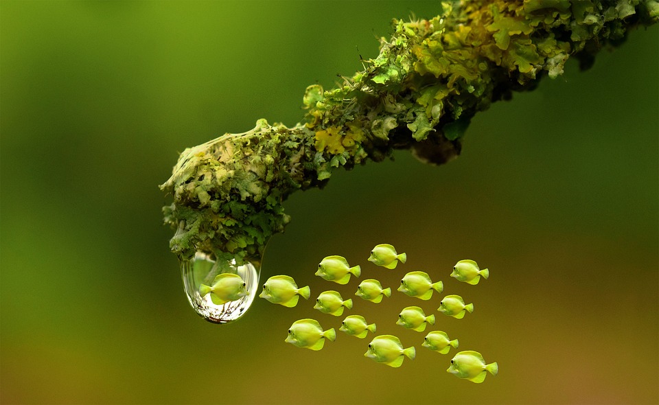 Cérémonie de Mariage en Vol à Vail, CO : Un Moment à Vie à Refaire
