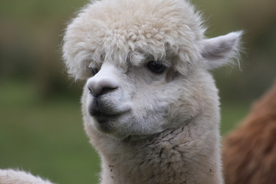 L&rsquo;Éternelle Nuit de Gatsby au Musée Ringling