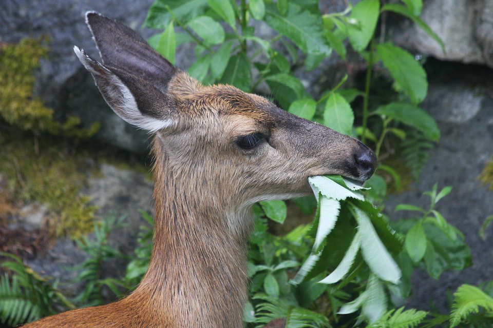 Sur mesure : Cheveux et robe de mariée, un mariage parfait
