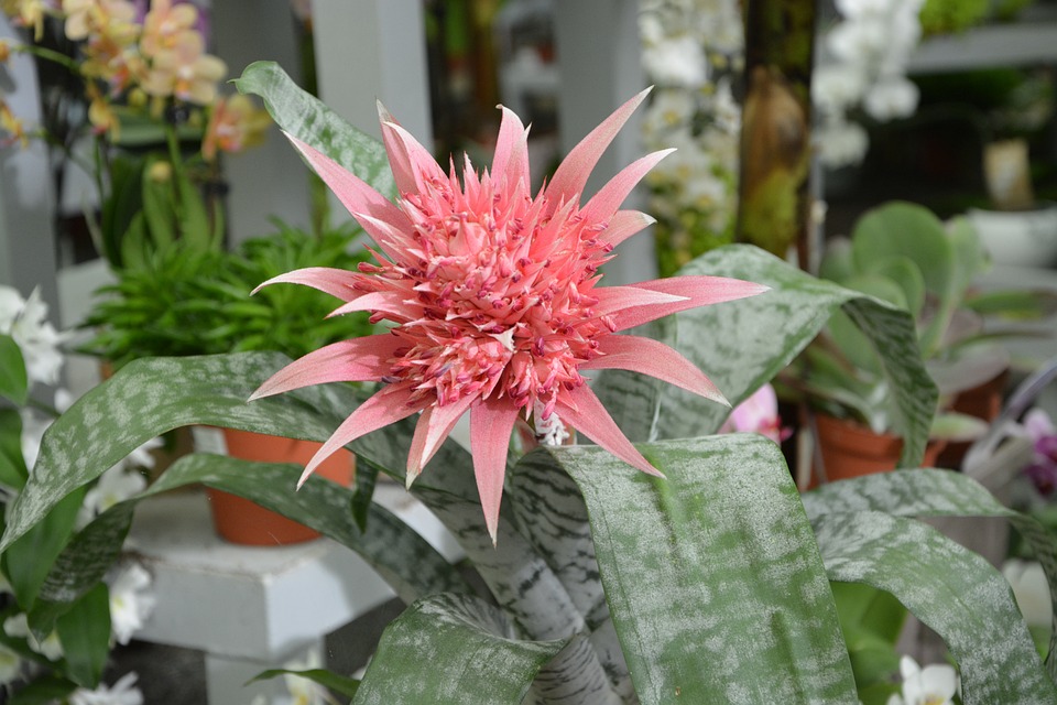 Soirée blanche : les idées de jeux pour les grands Soirée blanche : les idées de jeux pour les grands