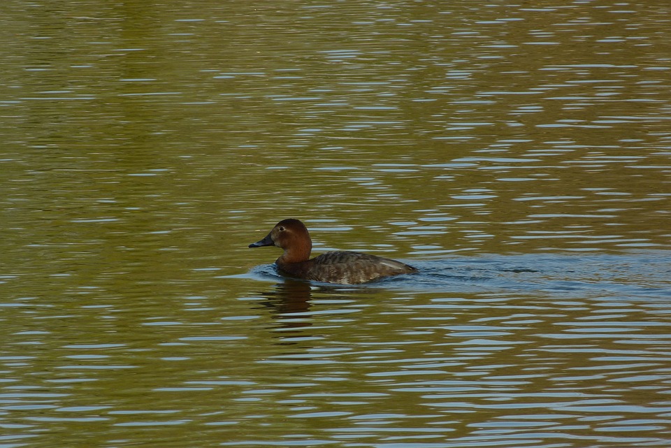 Cinq Questions que les Invités à la Mariage Se Posent Fréquemment + Comment y Répondre