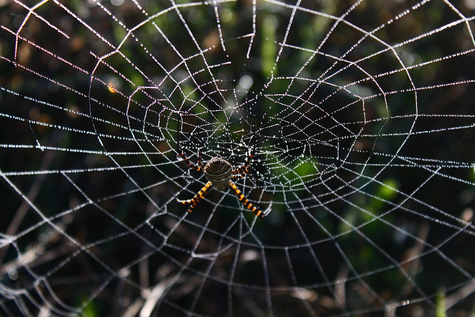 La Cérémonie de Mariage Blanche sur Fond de Jardin Tropical