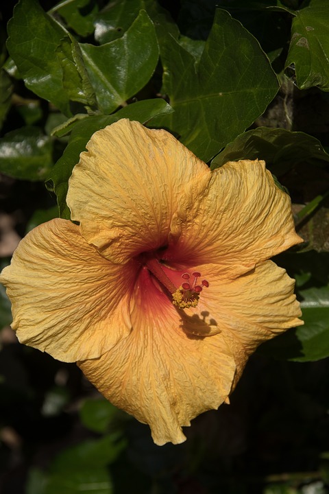 L&rsquo;expérience gourmande prend la scène au Metropolitan Ballroom & Clubroom