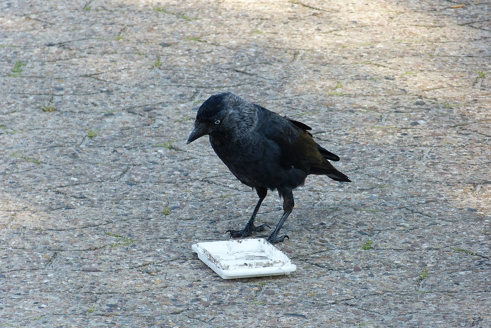 Maîtriser l&rsquo;Art du Mono-Floral dans l&rsquo;Lowcountry