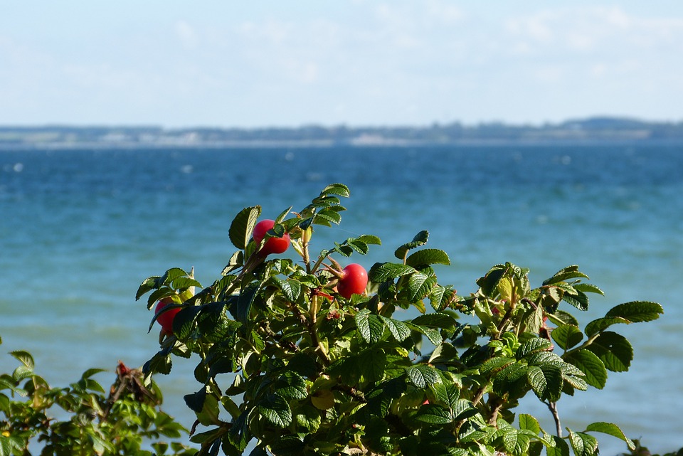 Où Passer son Lune de Miel ?