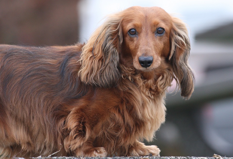 Printemps de Serenité : Un Mariage dans les Tones Terre et l&rsquo;Elegance de Caroline du Nord