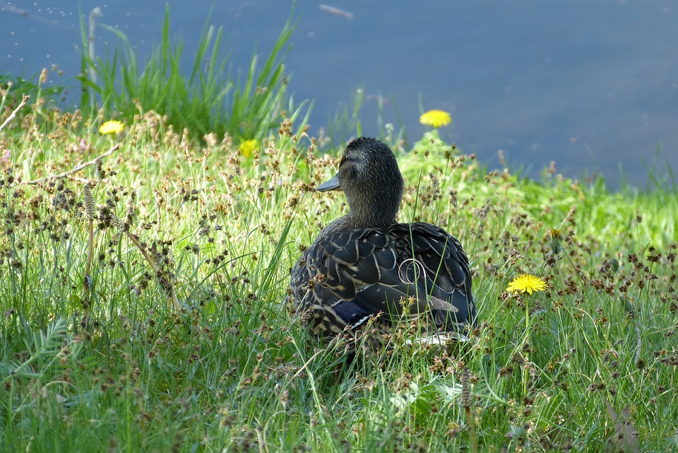 Un Mariage Reporté Deux Fois à la Playa Beach Golf Resort : Enfin Le Jour Revient !