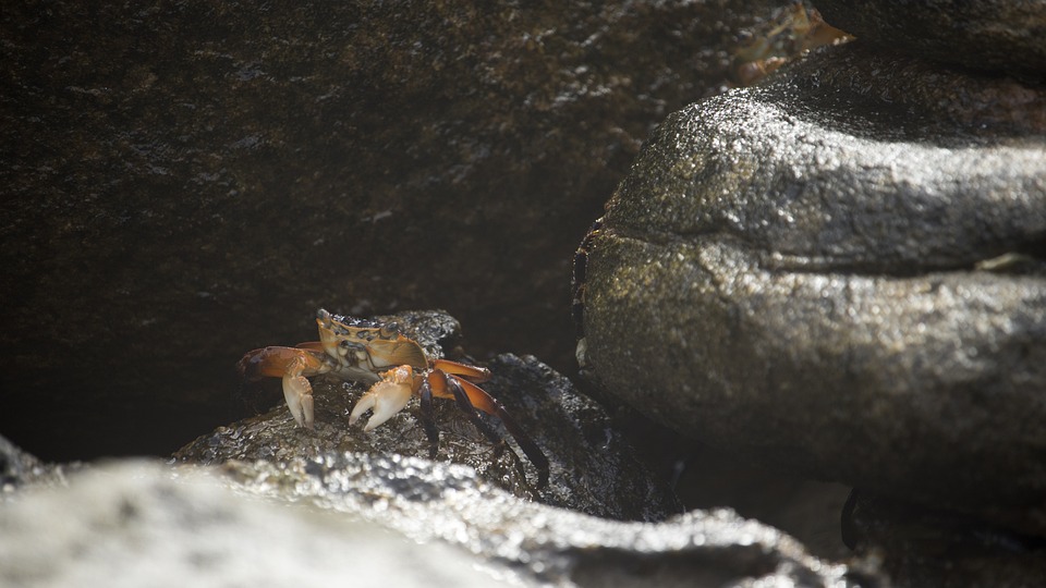 Un Mariage d&rsquo;Automne Éclatant à la Ferme de Famille de la Mariée