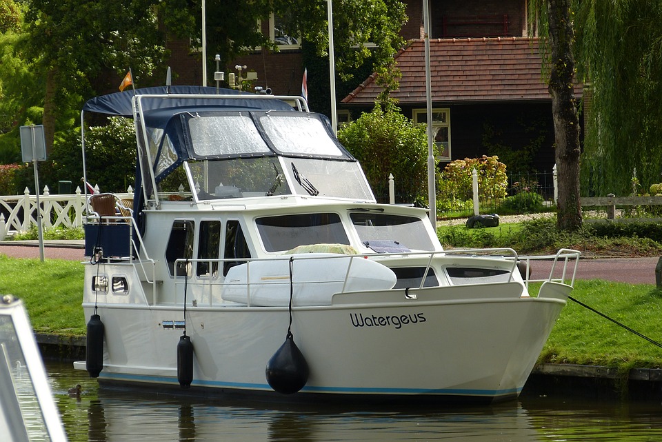 Un Printemps Sucré En Louisiane : Un Mariage De Rêve Avec La Faune Dans Les Enfants
