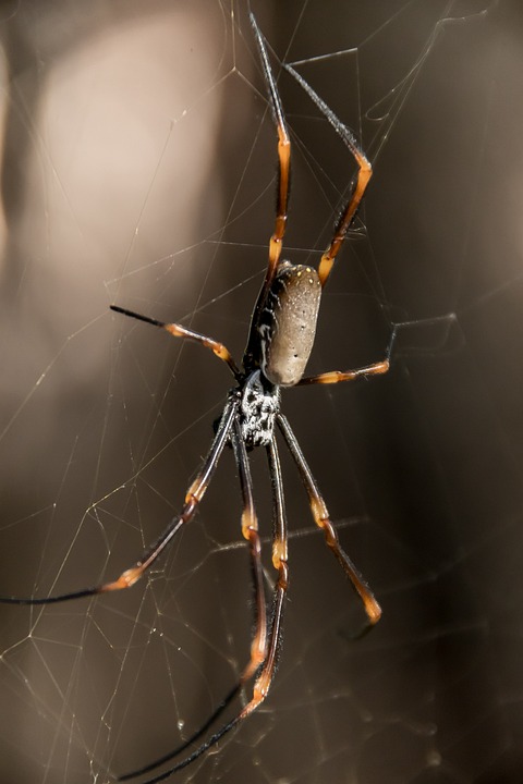 Votre Mariage Bleu à Sunstone Villa