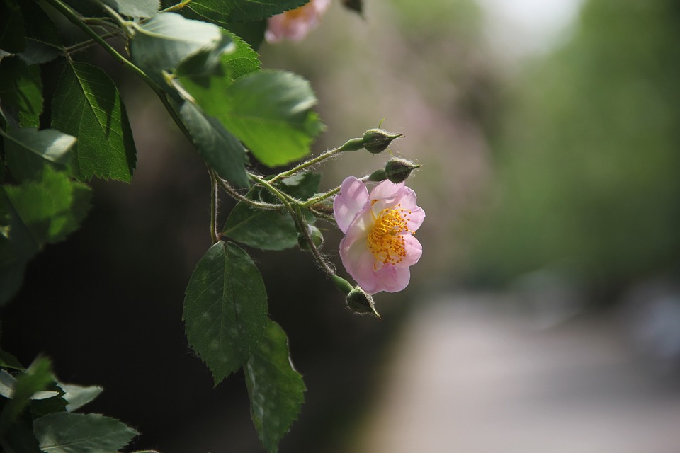 Comment réussir une soirée blanche pour les anniversaires Comment réussir une soirée blanche pour les anniversaires