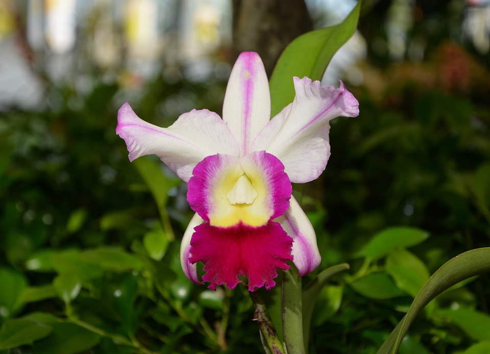 Comment réussir une soirée blanche pour les religieux Comment réussir une soirée blanche pour les religieux