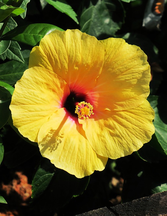 Soirée blanche : les idées de vidéos de communication Soirée blanche : les idées de vidéos de communication