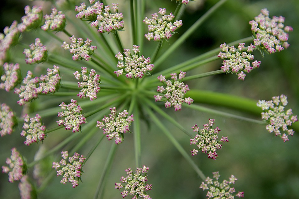 Soirée blanche : la manière de bien choisir un accueil Soirée blanche : la manière de bien choisir un accueil