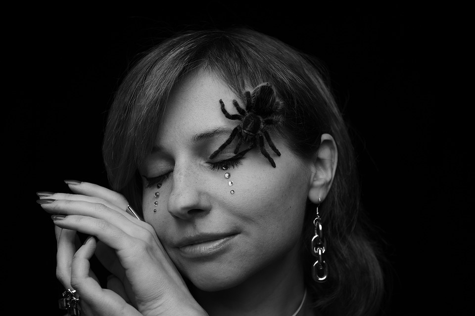 Soirée blanche : la manière de bien choisir un buffet Soirée blanche : la manière de bien choisir un buffet