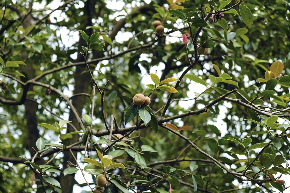 Soirée blanche : la manière de bien choisir un comédien Soirée blanche : la manière de bien choisir un comédien