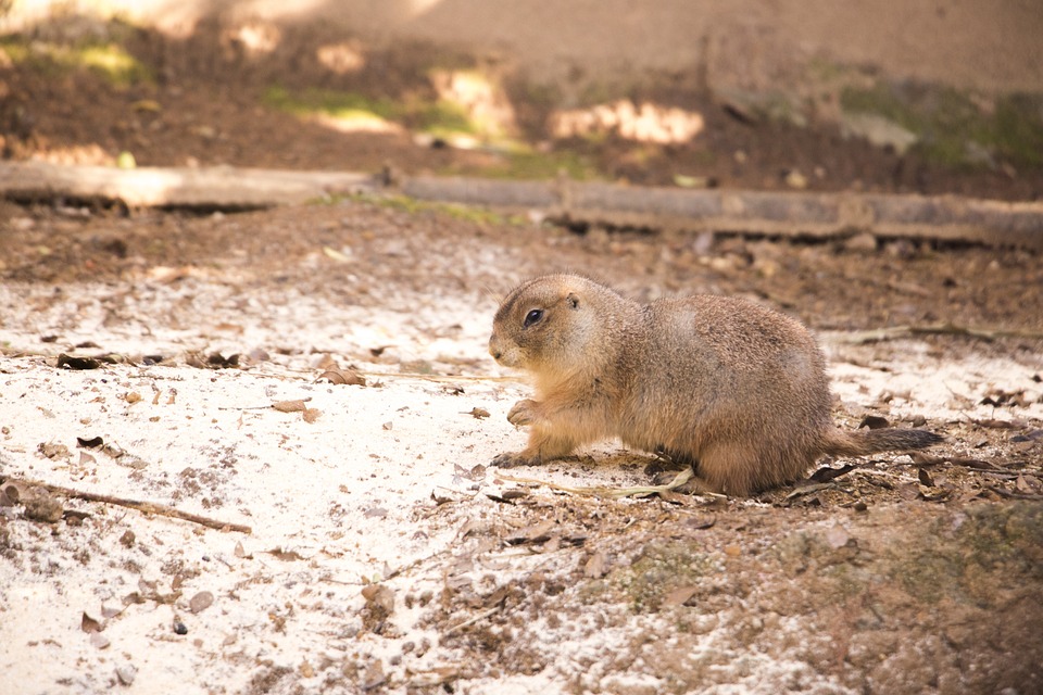 Épousez la Grande Bretagne dans le Charme de Cairnwood Estate Épousez la Grande Bretagne dans le Charme de Cairnwood Estate