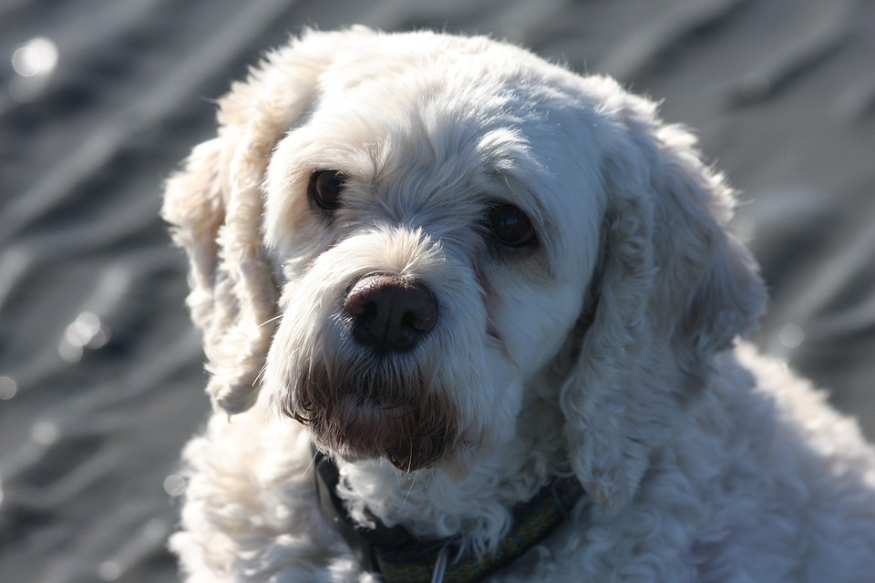 Jardins Botaniques de l’Ozark : Signature Rattan et Floral Jardins Botaniques de l’Ozark : Signature Rattan et Floral