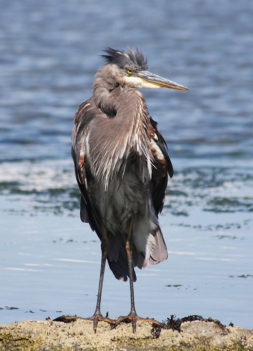 L&rsquo;Elegance Terreuse au Swan House d&rsquo;Atlanta
