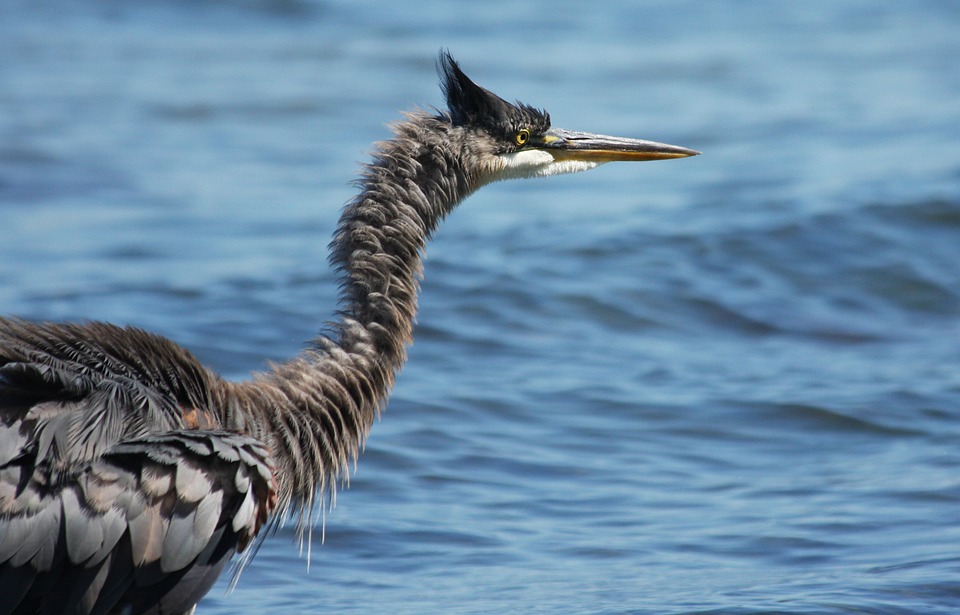 L&rsquo;Éternel Élan de la Lune Noire à la Bastide du Roy