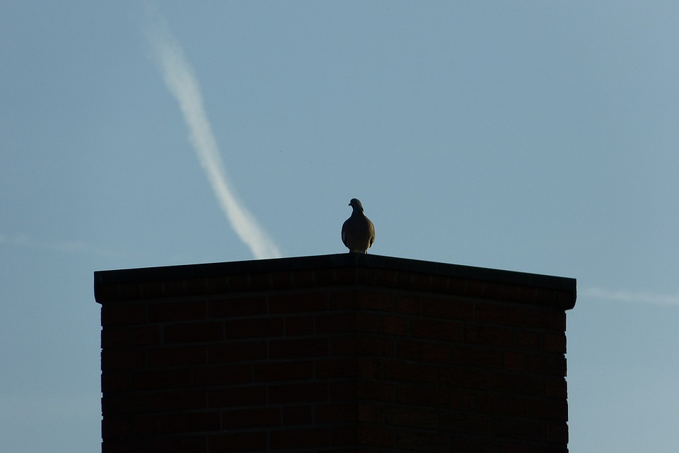 La Fête En Jardin Luxueux : Le Style Grandmillenial Chez Soi