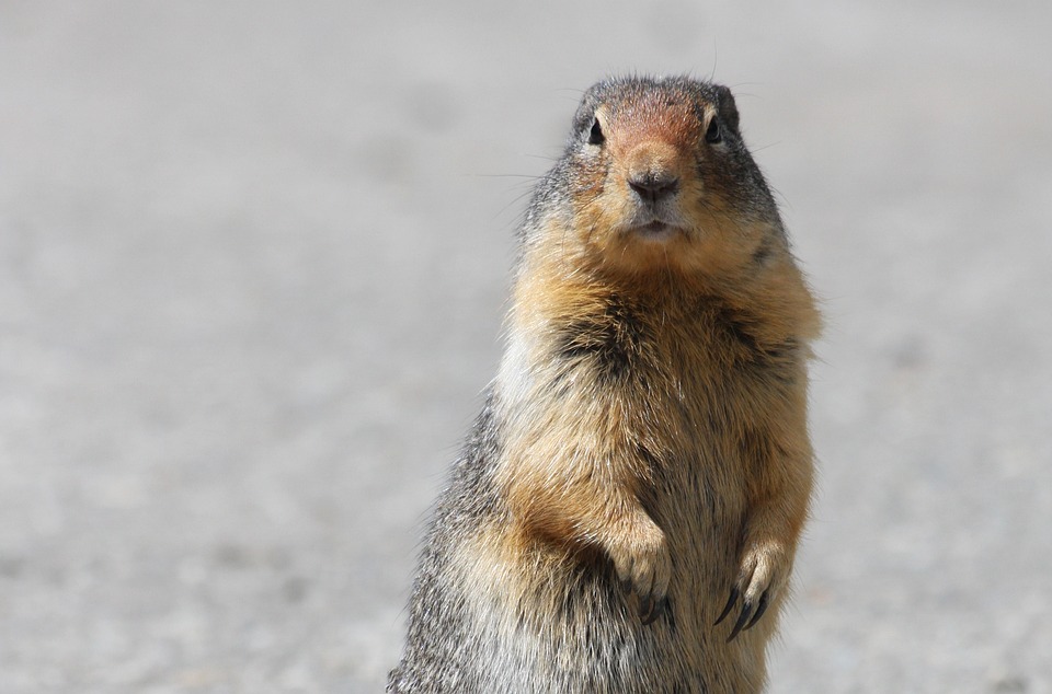 Le Mariage de Paysage Viticole : La Vérité derrière le Bleu Le Mariage de Paysage Viticole : La Vérité derrière le Bleu