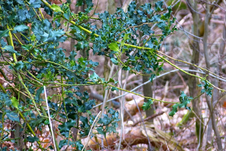 Notes d&rsquo;amour au goût de cocktail