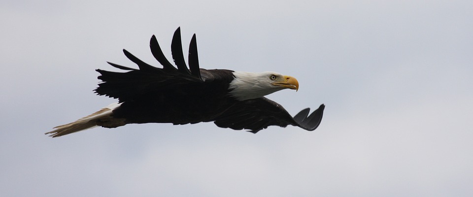 Soirée blanche : la manière de bien choisir un journaliste Soirée blanche : la manière de bien choisir un journaliste