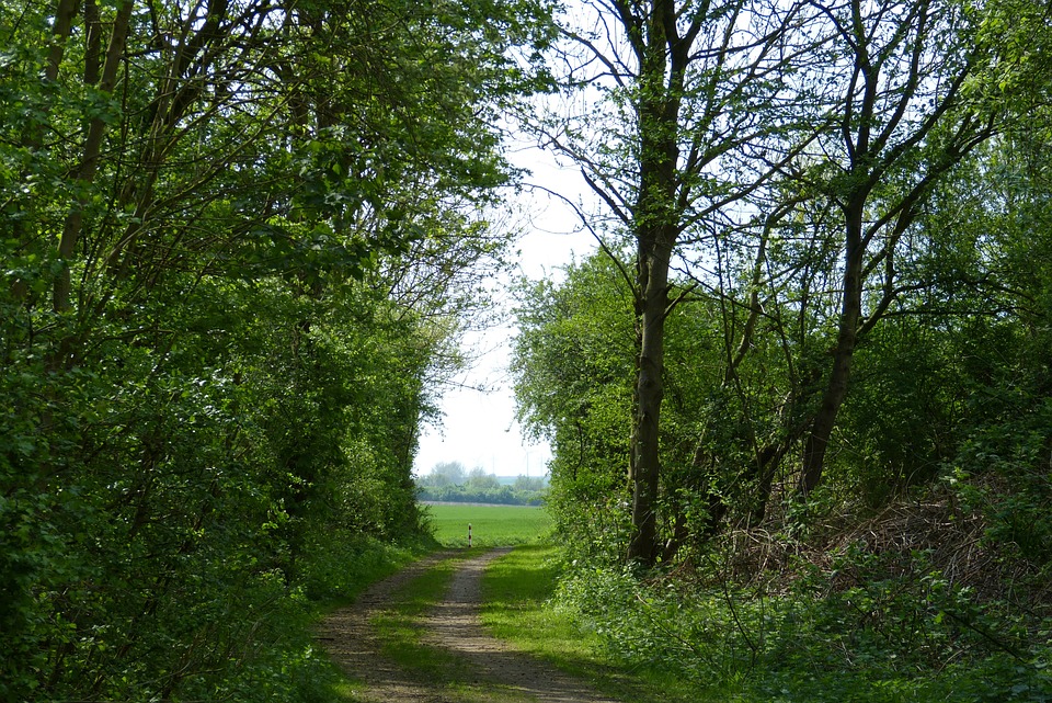 Élysée Intime : Mariage de Rêve à Sunriver Resort
