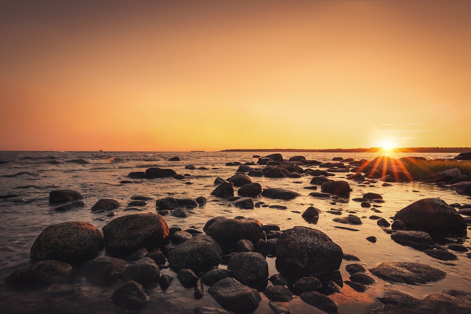 Rehaussez les arrière-plans avec des éclats de couleurs : les jardins du musée Vizcaya