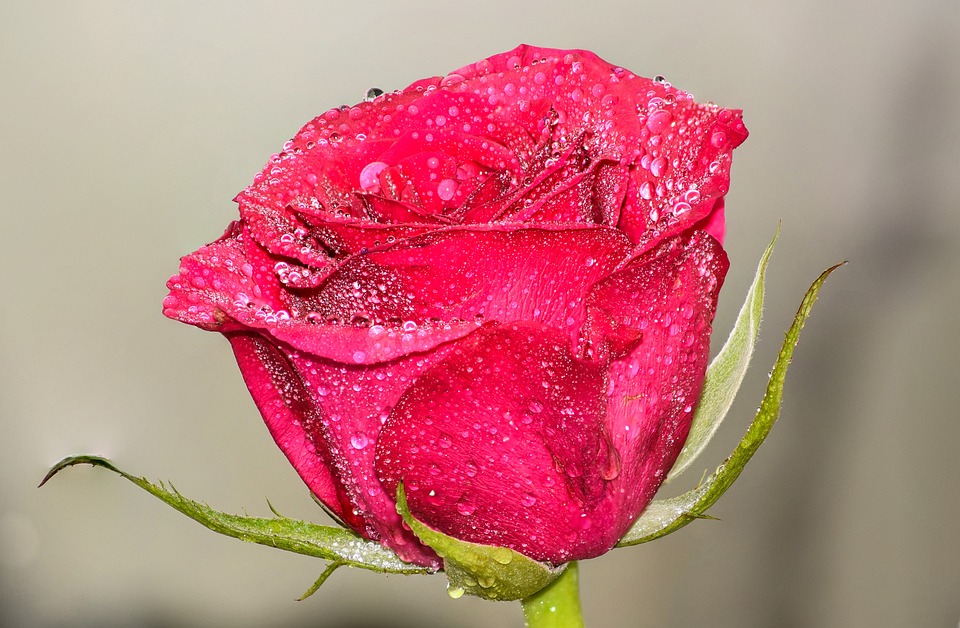 Une Idylle Orangique dans le Telluride au bord de l&rsquo;Admiration au Rocher San Sophia.