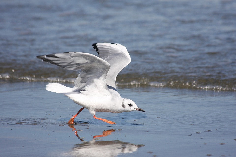 Soirée blanche : la manière de bien choisir un décorateur d’intérieur