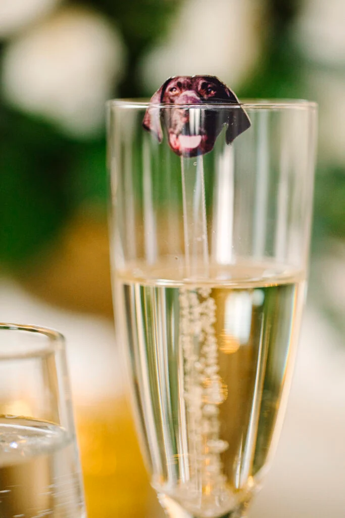 À l'intérieur du mariage à la cathédrale d'Abigail et Ben en cravate noire à St. James 1868 image 105 | Soirée Blanche