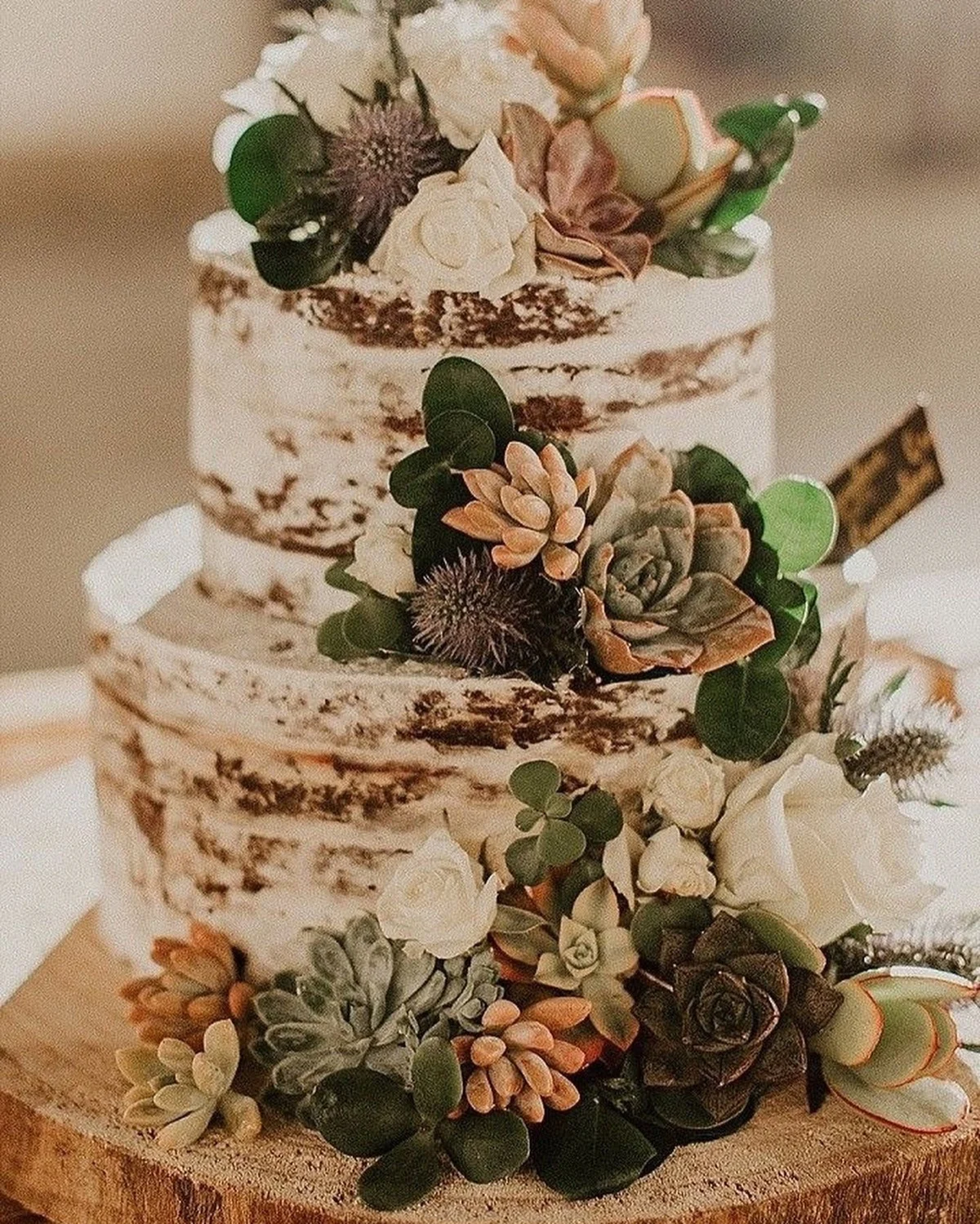 Gâteau de mariage rustique semi-nu recouvert de plantes grasses sur une tranche de bois